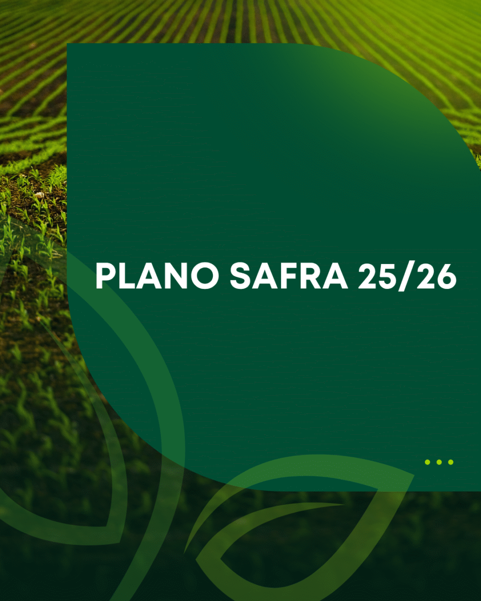 Plano Safra 25/26